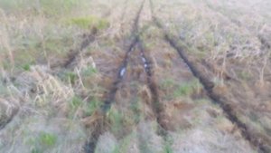 Проверяем мотоцикл Урал на проходимость