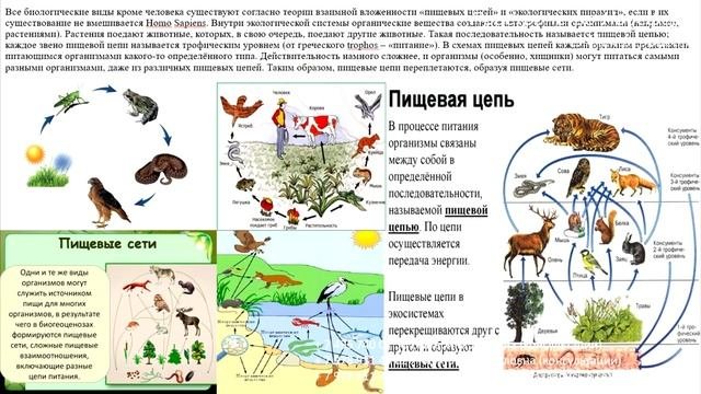 Открытие проекта "Пространство НООСФЕРА" в г. Симферополь
