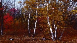 Ю.Шатунов -Медленно уходит осень