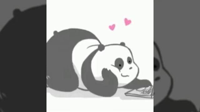 Panda (GIF)