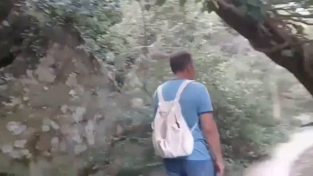 12. БЮДЖЕТНЫЙ КРЫМ.  Алупка. Воронцовский дворец - прекрасный Верхний парк.