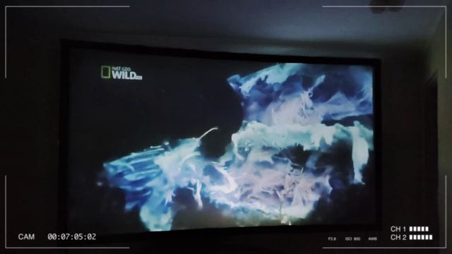 Экран обратной проекции Draper. смотреть онлайн