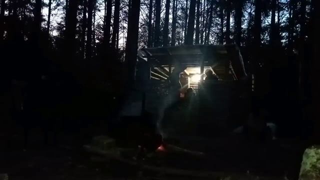 Это было СУПЕР! Живём всей семьёй в лесу. Отличный отдых на свежем воздухе! Готовим на костре. смотреть онлайн