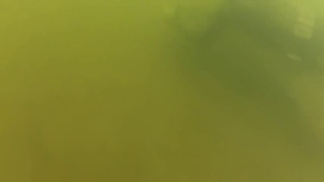 раки2 смотреть онлайн