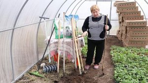 Выбираем удобный садовый инструмент