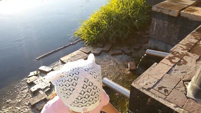 Радонеж. Купание..источник🐳