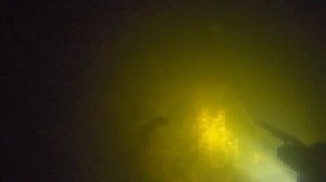 Подводная охота в мутной воде! Речка кишит щуками!