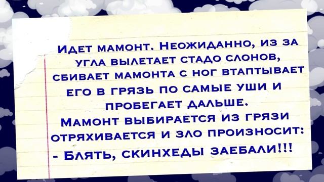 В Купе Едут Мужчина И Молодая Женщина! Самые Смешные и Прикольные Анекдоты ЮМОР ДО СЛЁЗ смотреть онлайн