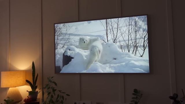 VLOG ❤️ НАШИ ДНИ ?? РАСПАКОВКА ПОДАРКОВ НА ВЫПИСКУ ИЗ РОДДОМА / ХОЧУ СКУПИТЬ НОВОГОДНИЙ АШАН ? смотреть онлайн