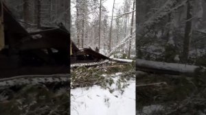 Тт 4 и лт 65 работа на деляне.