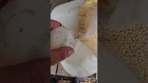 Как быстро и просто почистить канистру или бутыль изнутри. Никакой ХИМИИ!!!