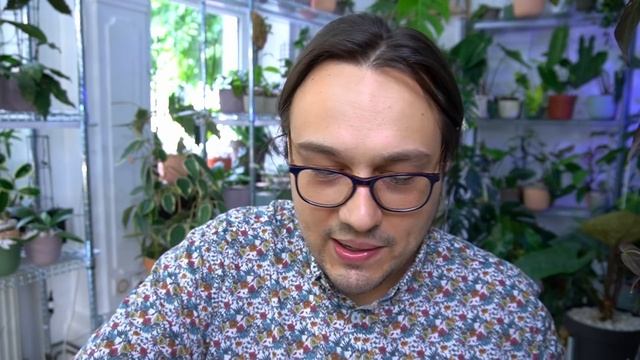 Everybody Needs This Hoya смотреть онлайн