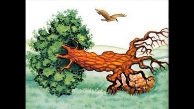 Дерево, Иван Крылов ,Басня , читает Павел Беседин смотреть онлайн