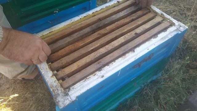 Зимовка пчел по Норвежскому методу. смотреть онлайн