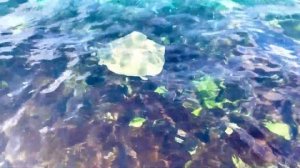 #Мальдивы/Мале/своим ходом по Мальдивам/путешествие мечты