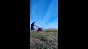Мотоблок САЛЮТ- 100 с роторной косилкой Заря . Скосили  40 соток  травы на огороде