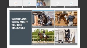Вебинар: Массаж и магнитная терапия для вашей лошади