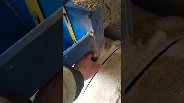 откорм быков,как сделать комбикорм? своими руками.