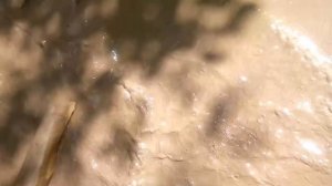 ниссан террано 2014 на бездорожье