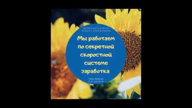 ЗАГЛУШКА ДЛЯ ИНСТАГРАМ смотреть онлайн