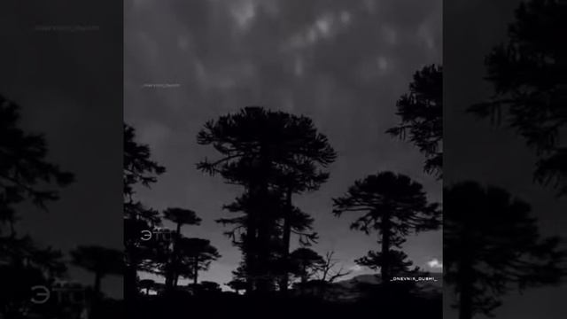 Исламские цитаты #9