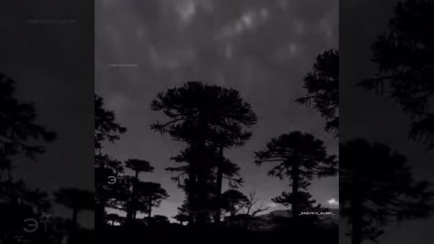 Исламские цитаты #9