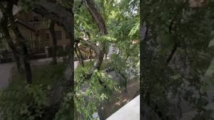 Сербия. Воеводина. Сомбор.  Квартира в центре красивого города.