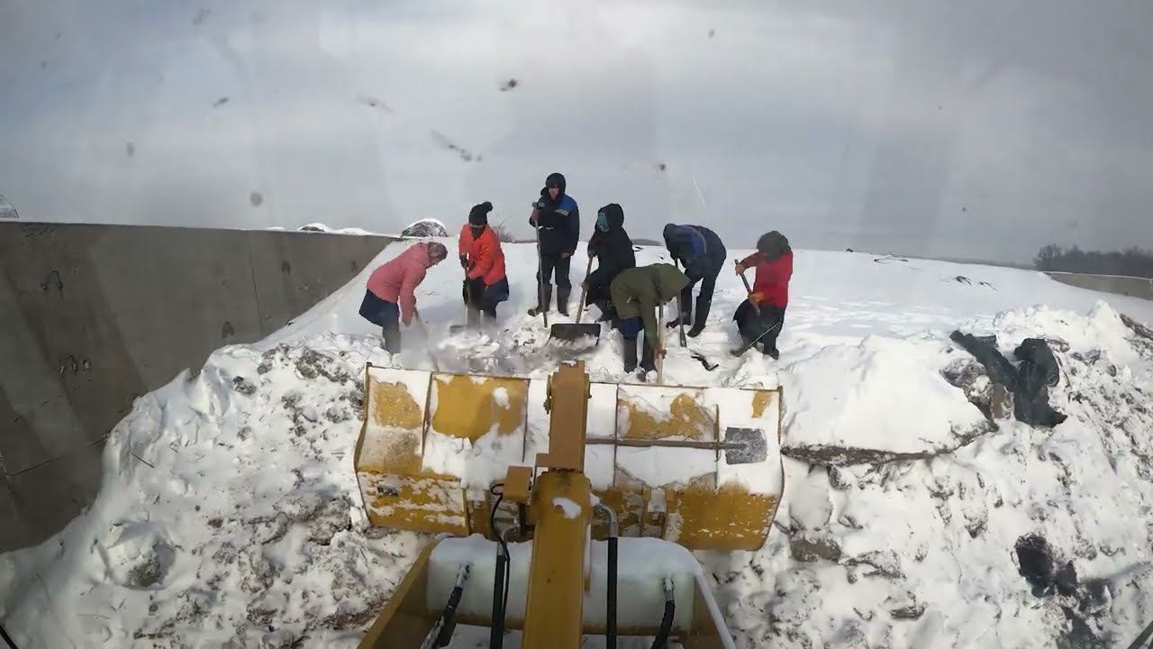 На транспортировке сенажа! Встреча с подписчиками! смотреть онлайн