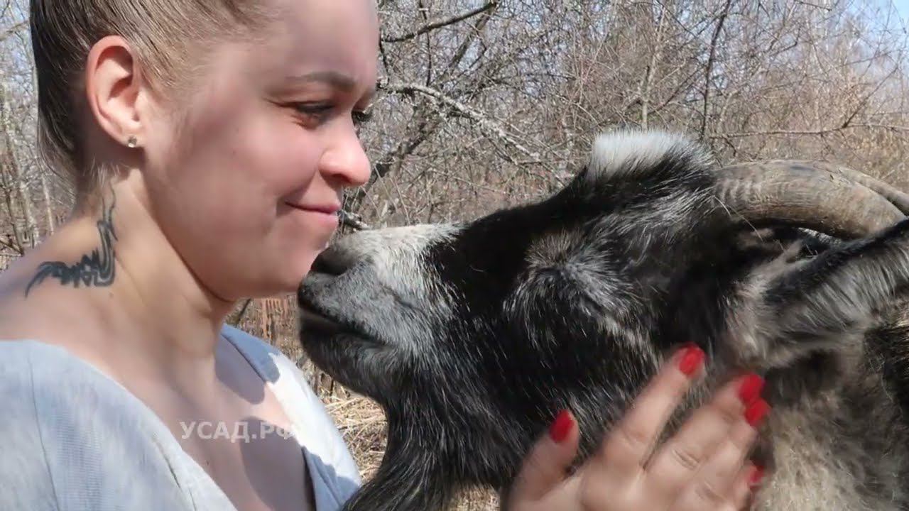 Ну что, НАЧАЛОСЬ..! Всем надо купить саженцы на УСАД.РФ смотреть онлайн