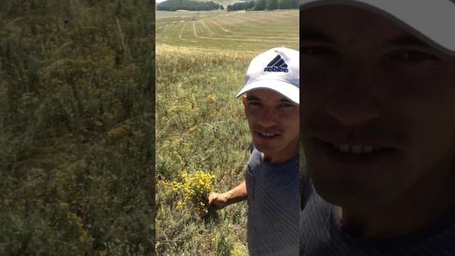 Работа в селе бизнес идея )))) смотреть онлайн