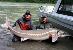 125.Трофеи 23.mp4