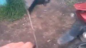 Прицеп на скутер.