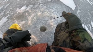 Ловля окуня на зимнюю блесну. Озеро Ильмень Б.Аркадский залив 09 01 2021