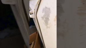 Niewiadow n126e, 1981