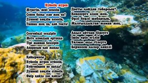 Қазақша әндер | Досымжан Таңатаров | Ән жинақ 2.