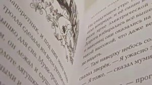 ОБЗОР на ВСЕ мои книги про муми-троллей♥️