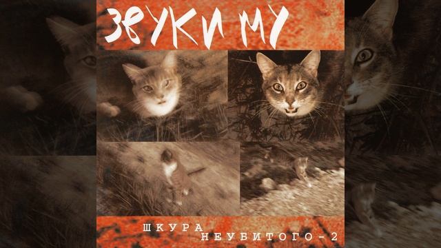 Дорога