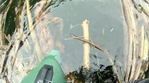 #Solarboat ?Не повторять! Солар 350 Tohatsu 9 8 Прохождение завала!