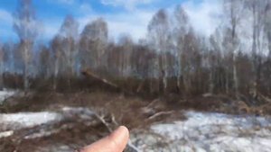 Начало начал!.mp4