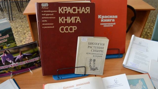 «Сибирский первоцвет» : книжная выставка смотреть онлайн