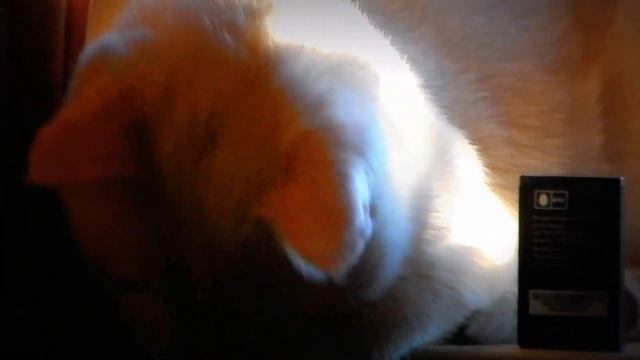 My Nikon coolpix l820 (zoom test home) year 2014 смотреть онлайн