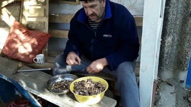 Закрываем виноградный сок смотреть онлайн