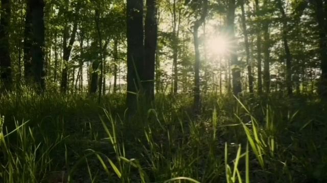 ОЧЕРЕДНОЕ ВРАНЬЁ И ХРЮЧЕВО ОТ УРАЛКИ. ОЛЬГА УРАЛОЧКА LIVE.