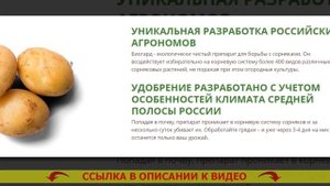 ? СПЛОШНОЙ ГЕРБИЦИД ДЛЯ АРБУЗОВ ? ЭФФЕКТИВНОЕ СРЕДСТВО ОТ СОРНЯКОВ НА ОГОРОДЕ ?