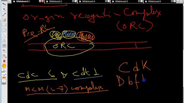 Genetics Part 8: DNA replication 4 (Replication in Eukaryotes) смотреть онлайн
