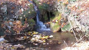 Живая и мертвая вода. Источники близ Щебетовки в Крыму