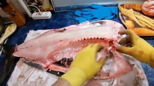 Разделка крупного толстолобика на балык / Засолка под холодное копчение .