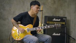 aria pro ii pe 350pg