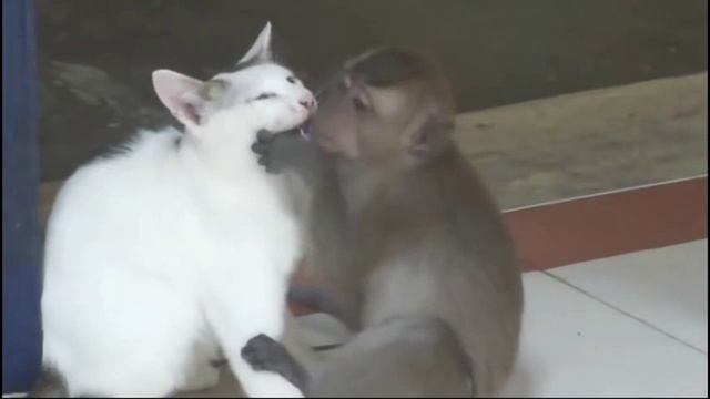 ЛЮДМИЛА ОЛИНА YouTube смотреть онлайн