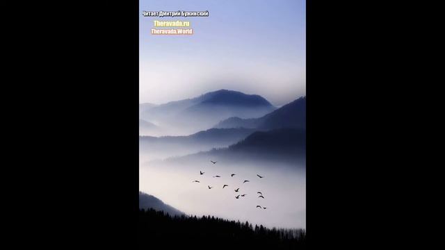 Основы Буддизма и Медитация развития осознанности с дыханием (Буддадаса Бхиккху) Аудиокнига